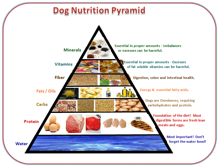 dog food analysis