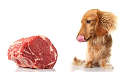 Raw Food For Dogs