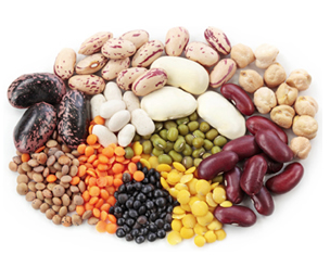 are kidney beans bad for dogs