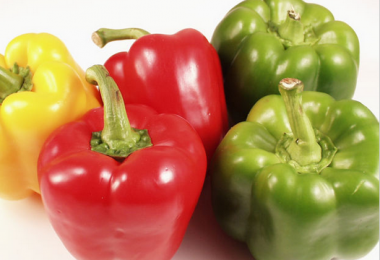 Can Dogs Eat Peas: Fresh, Canned or Cooked? Are Peas Good for Dogs?