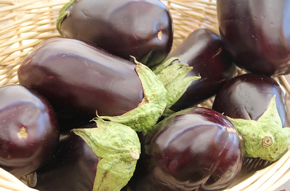 Can Dogs Eat Eggplant and The Leaves? Is Eggplant Bad for Dogs?