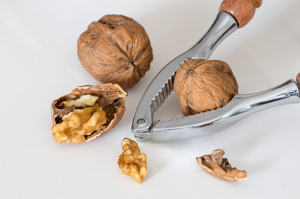 can dogs eat walnuts