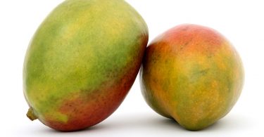 Can Guinea Pigs Eat Mango