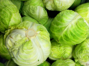 Can Guinea Pigs Eat Cabbage: Green, Red, Savoy or Spring?