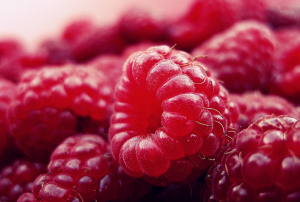 can dogs eat raspberries