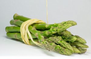 can dogs eat asparagus