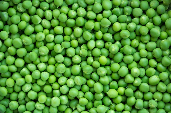 can dogs eat fresh peas