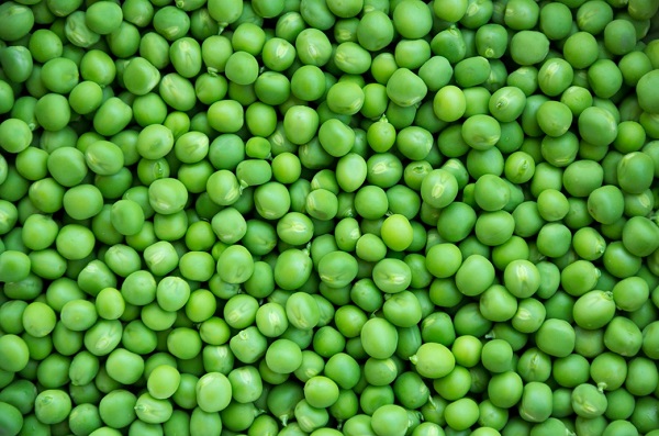 are canned peas bad for dogs