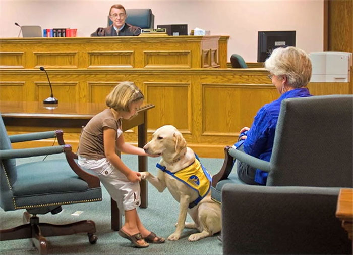 Courthouse Dog On Staff In Virginia
