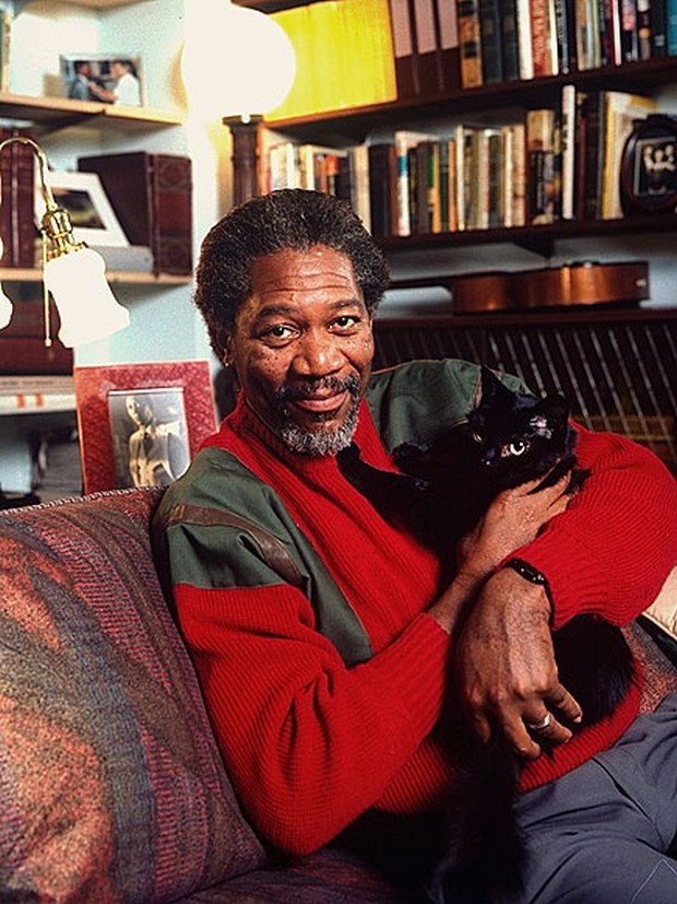 15 Celebrities Who Love Cats