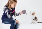 Best Cats For Kids With Allergies