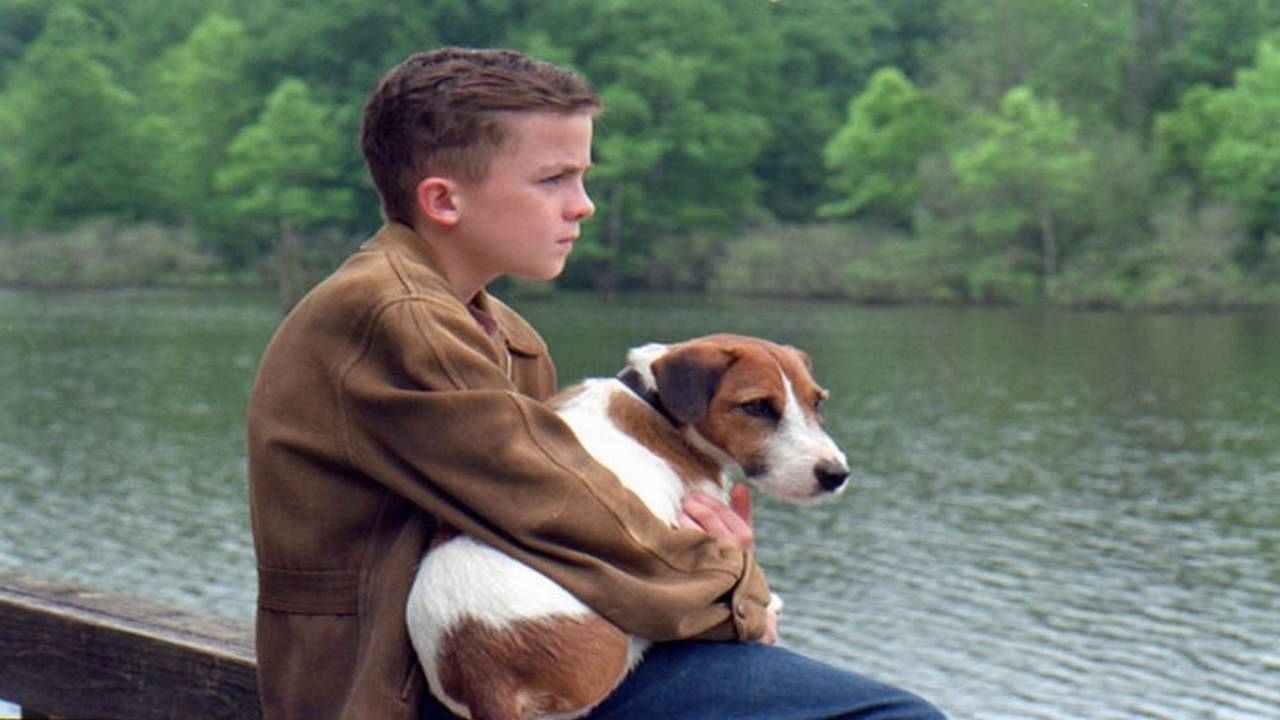 Top 10 Dog Movies