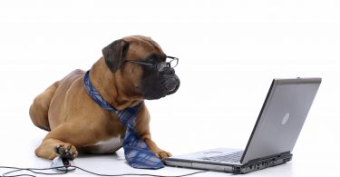 Top 10 Dog Blogs