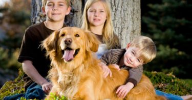 Top 10 Dogs With Kids