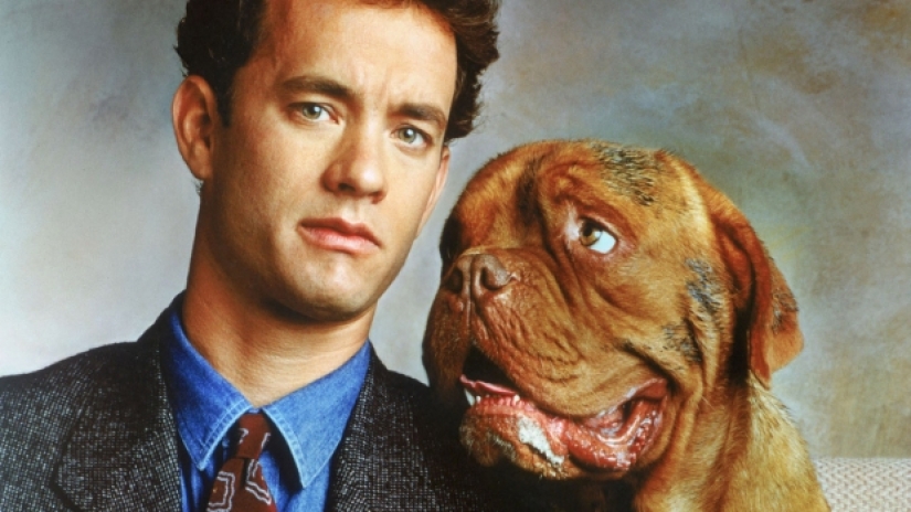 Top 10 Dog Movies