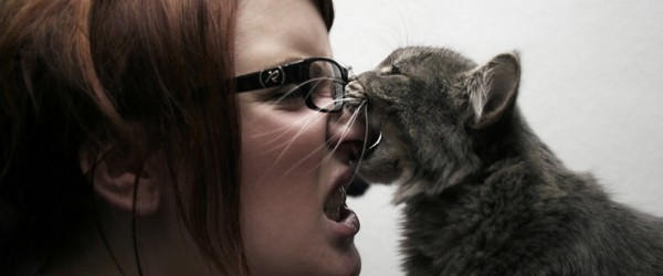 Cat Bite Treatment Guidelines