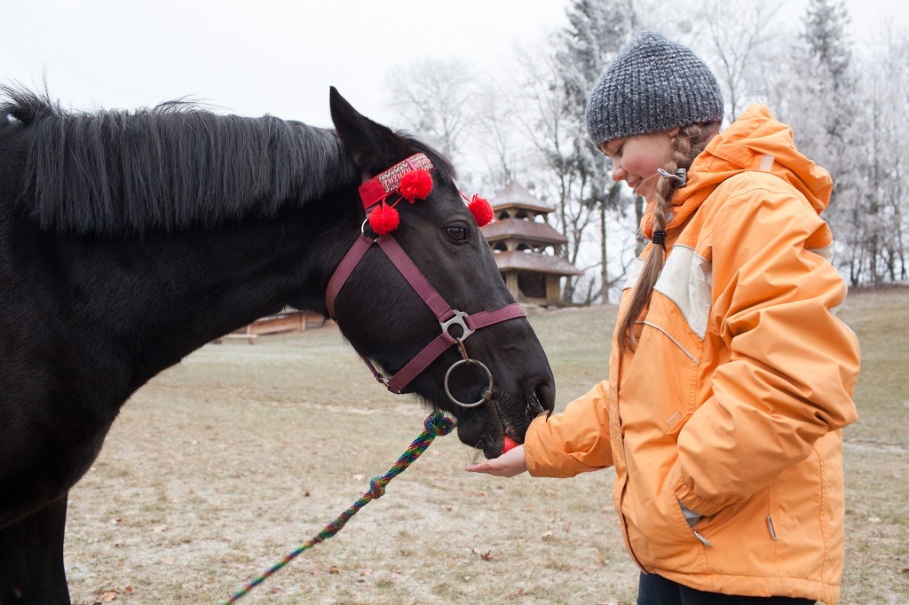 Can Horses Eat Strawberries