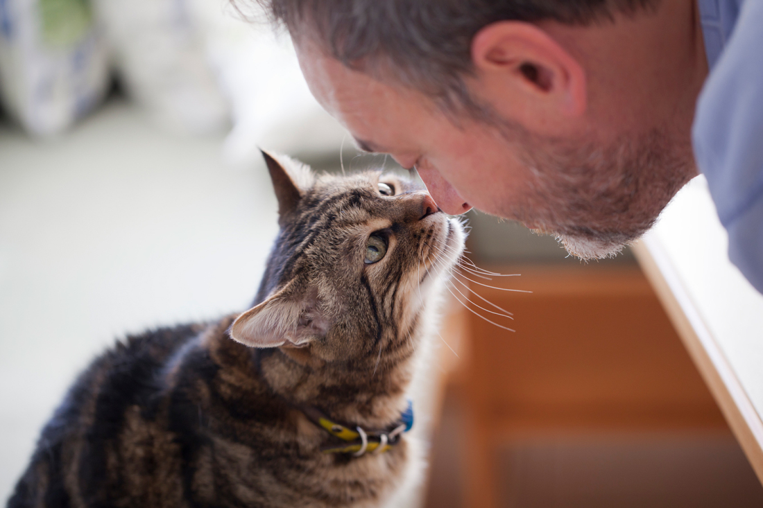 Is Cat Biting a Sign of Affection