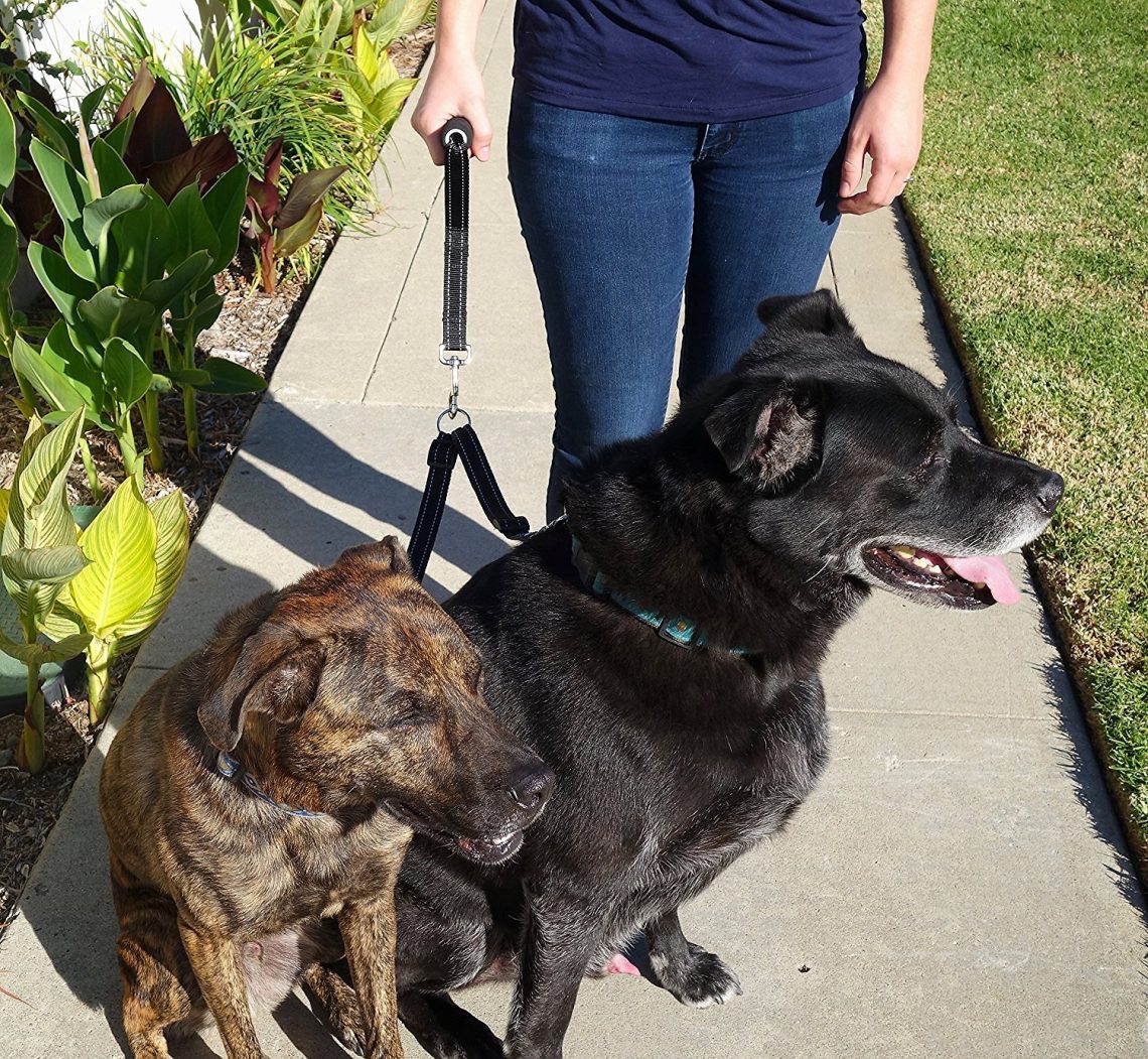 How to Use a Dog Coupler