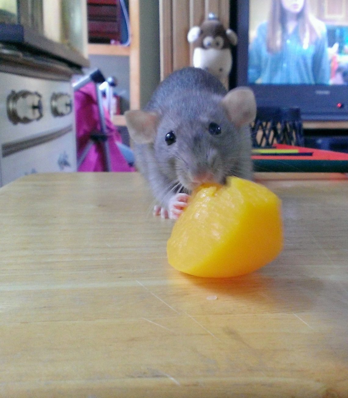 Can Rats Eat Peaches 