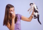 Cat Bad Breath Home Remedy