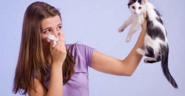 Cat Bad Breath Home Remedy