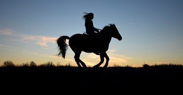 beginner horse riding mistakes