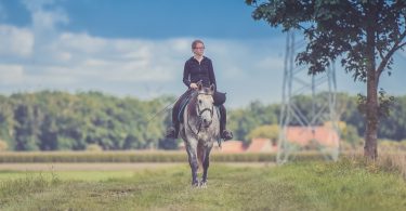 the costs of owning a horse