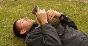 the healing power of cat purrs