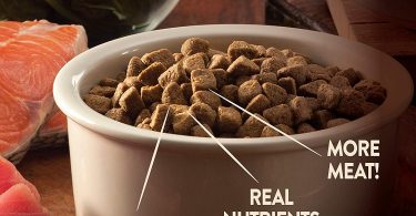 Best Dog/Puppy Food for Pit Bulls