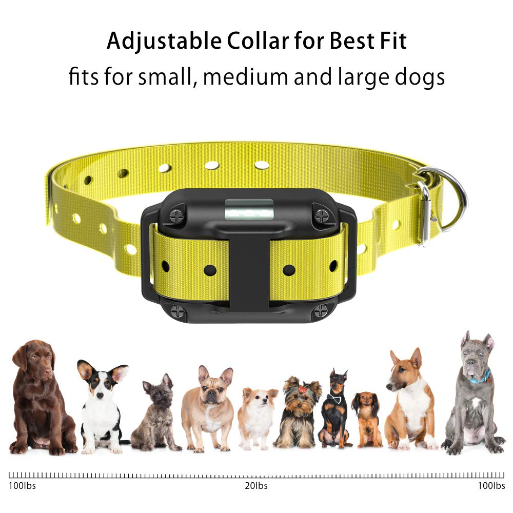 Best Dog Training Collar For February 2020