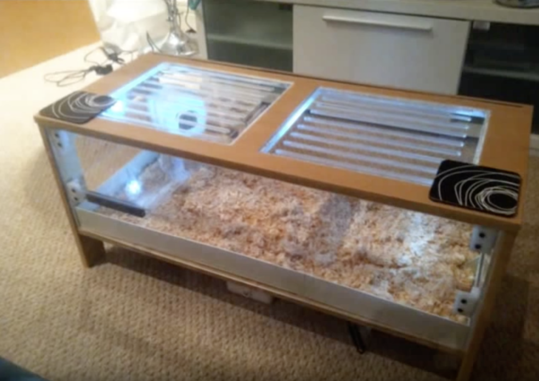 12 DIY Hamster Cage Projects to Completely Transform Your Pet’s Home