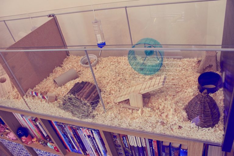 Transform Hamster Cage Supplies photo