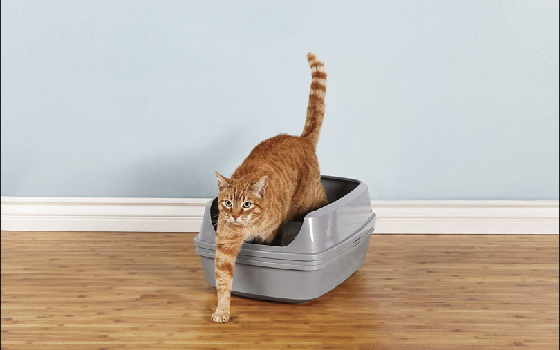 best Sifting Cat Litter Box