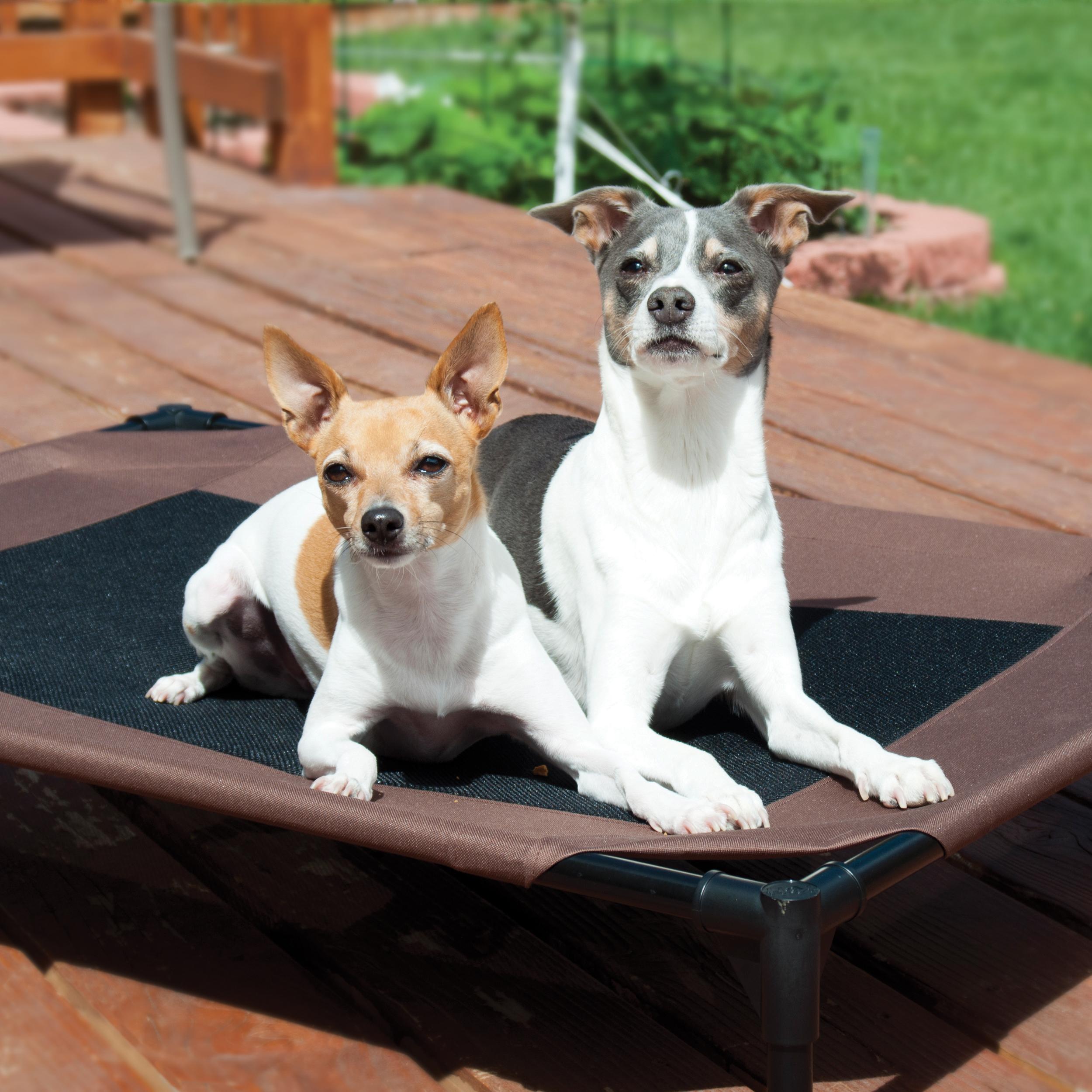 k&h cooling dog bed